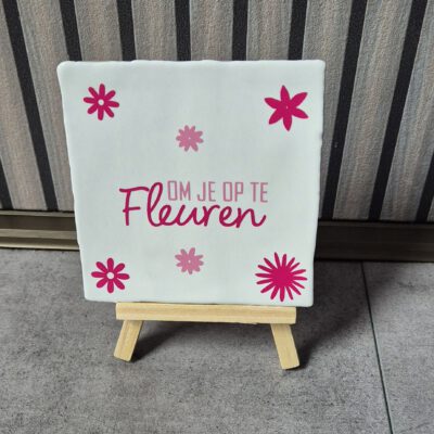 2026/01/1000177898.jpg Om je op te fleuren tegel