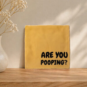 grappige tegel met tekst ’are you pooping?, persoonlijk cadeau of woondecoratie