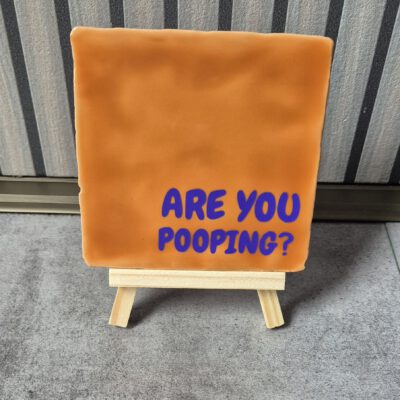 Tegeltje met tekst
Are You Pooping?