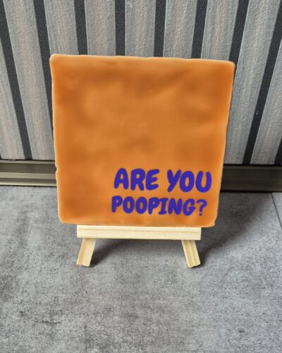 Tegeltje met tekst
Are You Pooping?