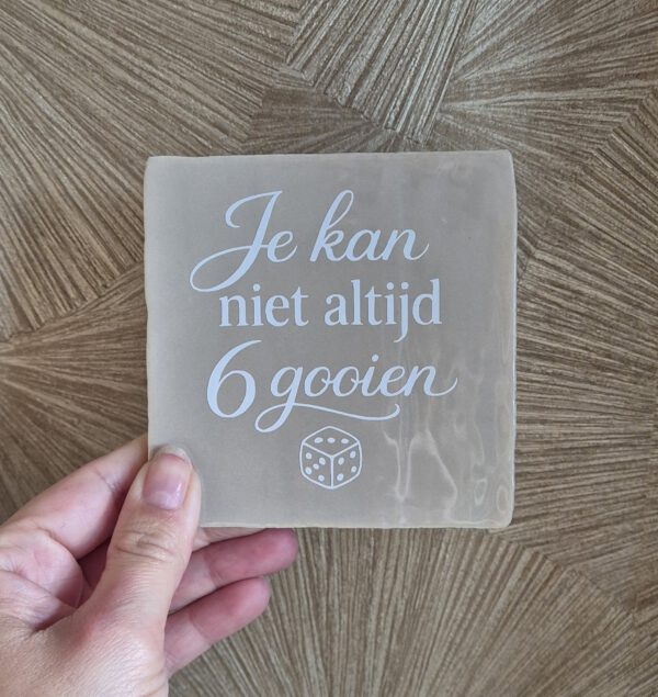 Tegeltje met tekst 
Je kan niet altijd 6 gooien