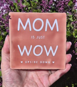 Tegeltje met tekst
Mom is just Wow