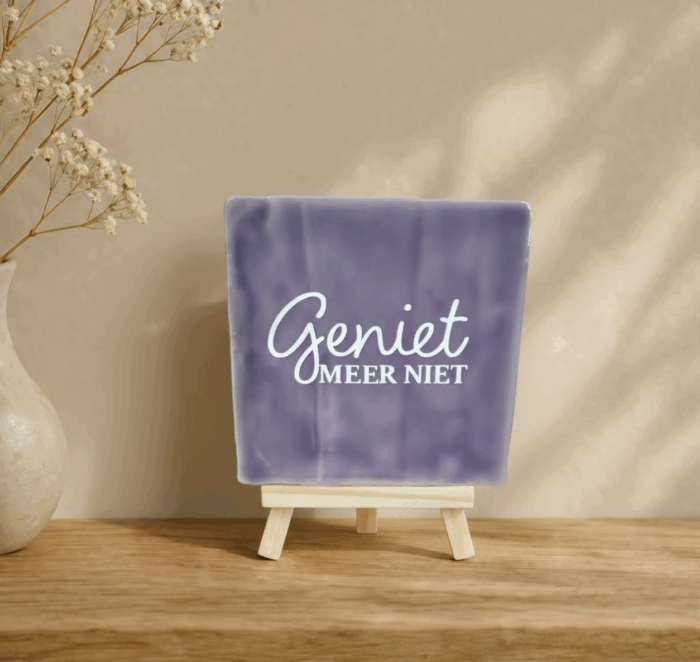 Tegel 'Geniet meer niet'