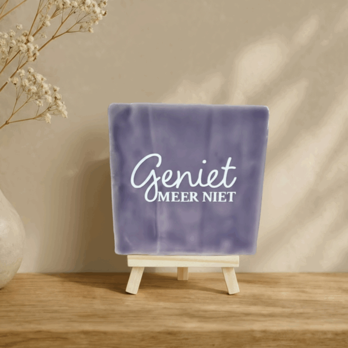 Tegel 'Geniet meer niet'